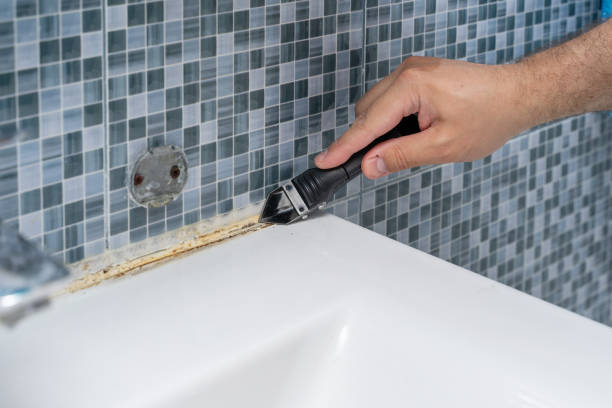  Wallace, NC Mold Removal Pros